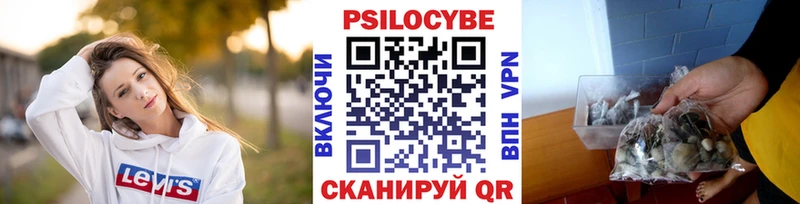 Галлюциногенные грибы GOLDEN TEACHER  купить наркоту  OMG сайт  Каргополь 